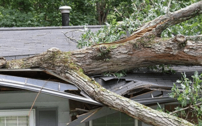 Storm Damage in Atlanta