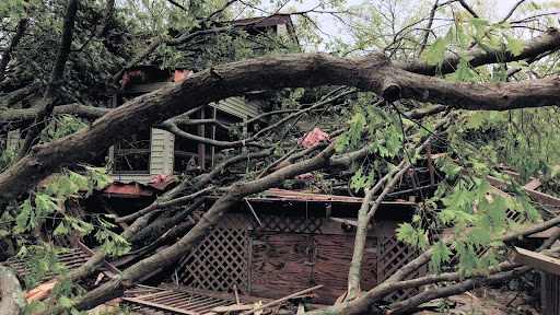 Damaged Roof Due to Fallen Trees