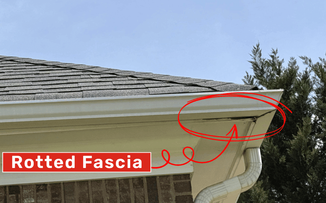 What is Fascia Repair—and Why It’s More Important Than You Think