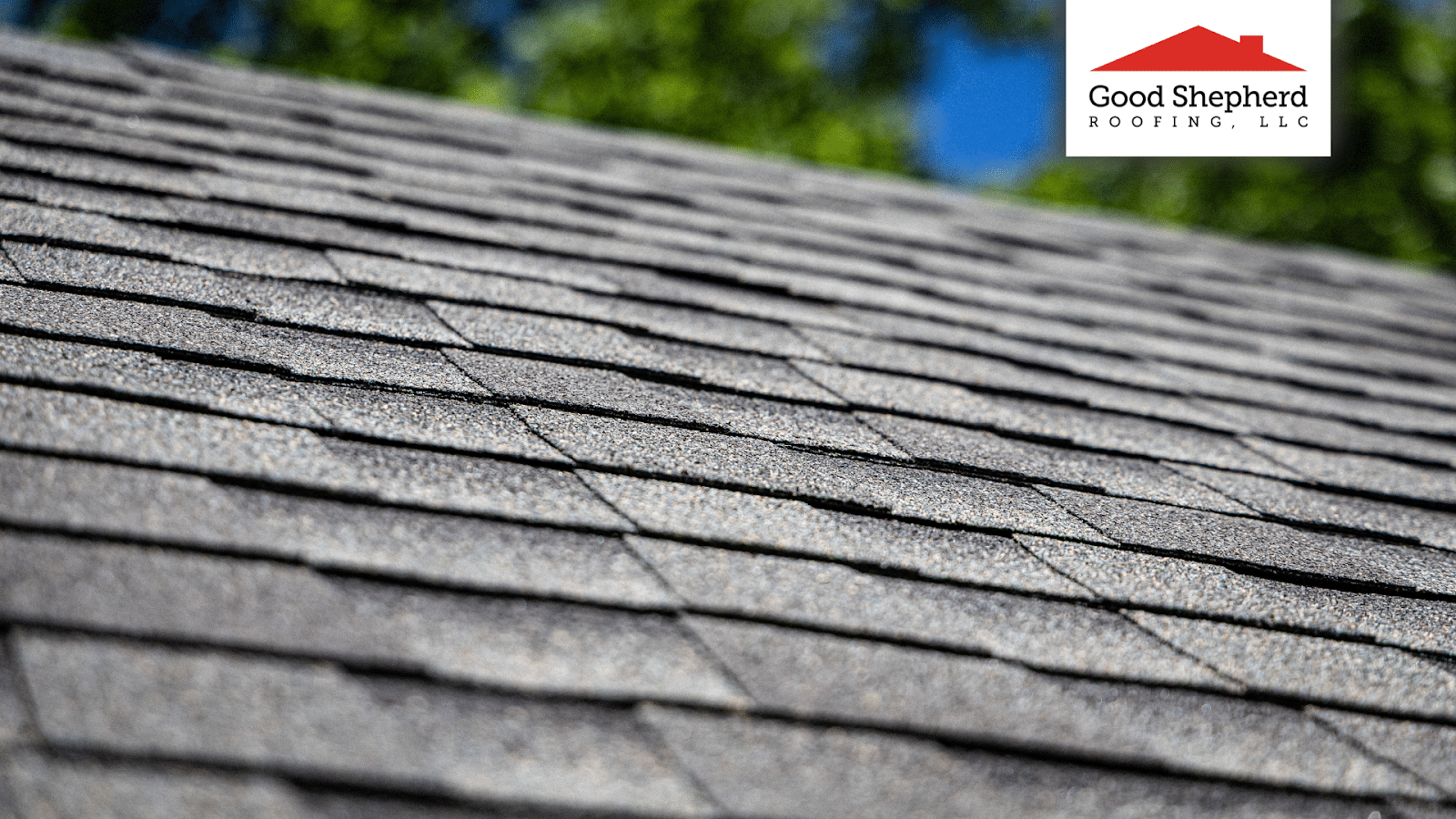 Well-structured Roofing Estimate Means Roofing Protection