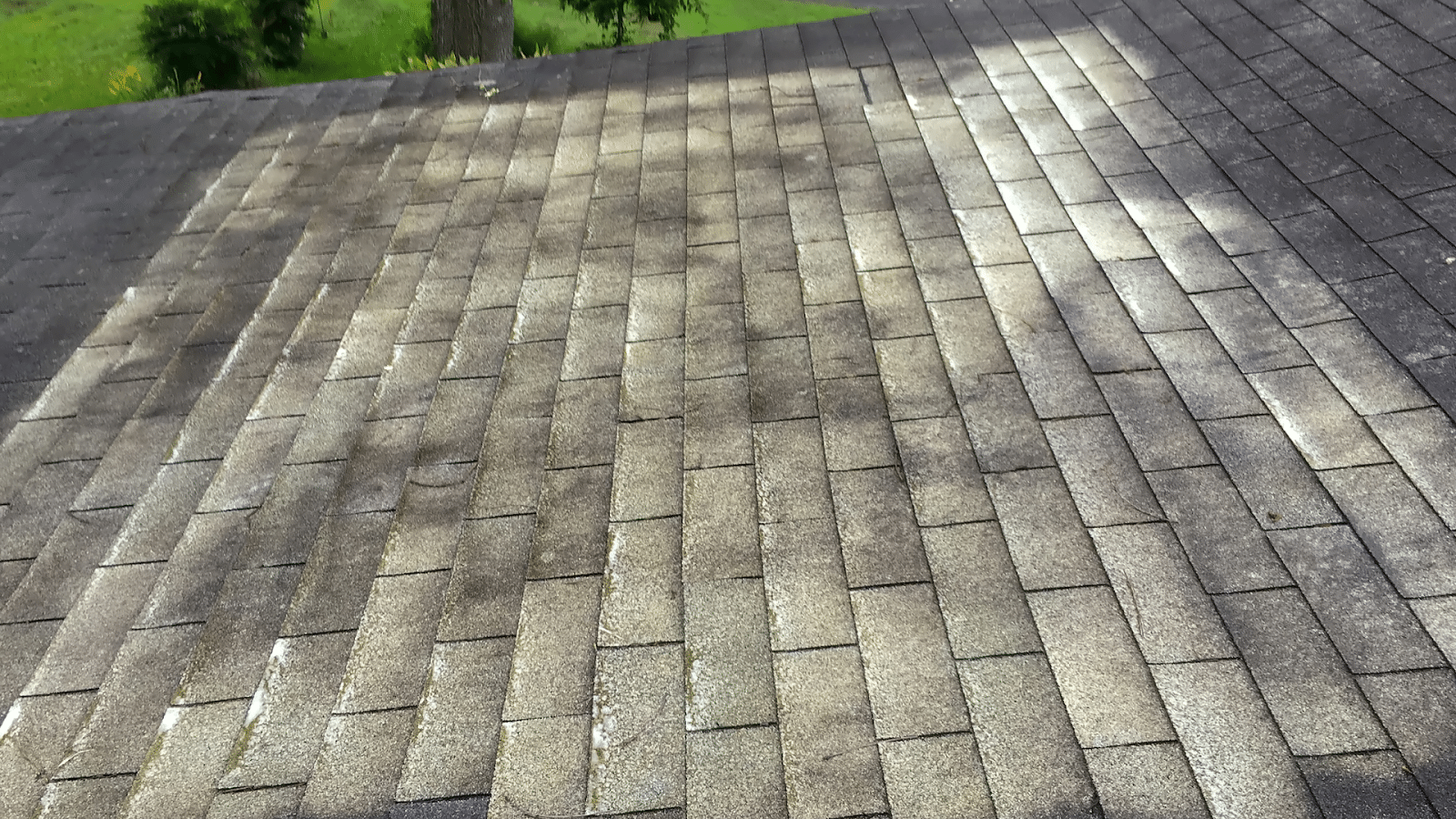 The Truth About DIY Algae Removal