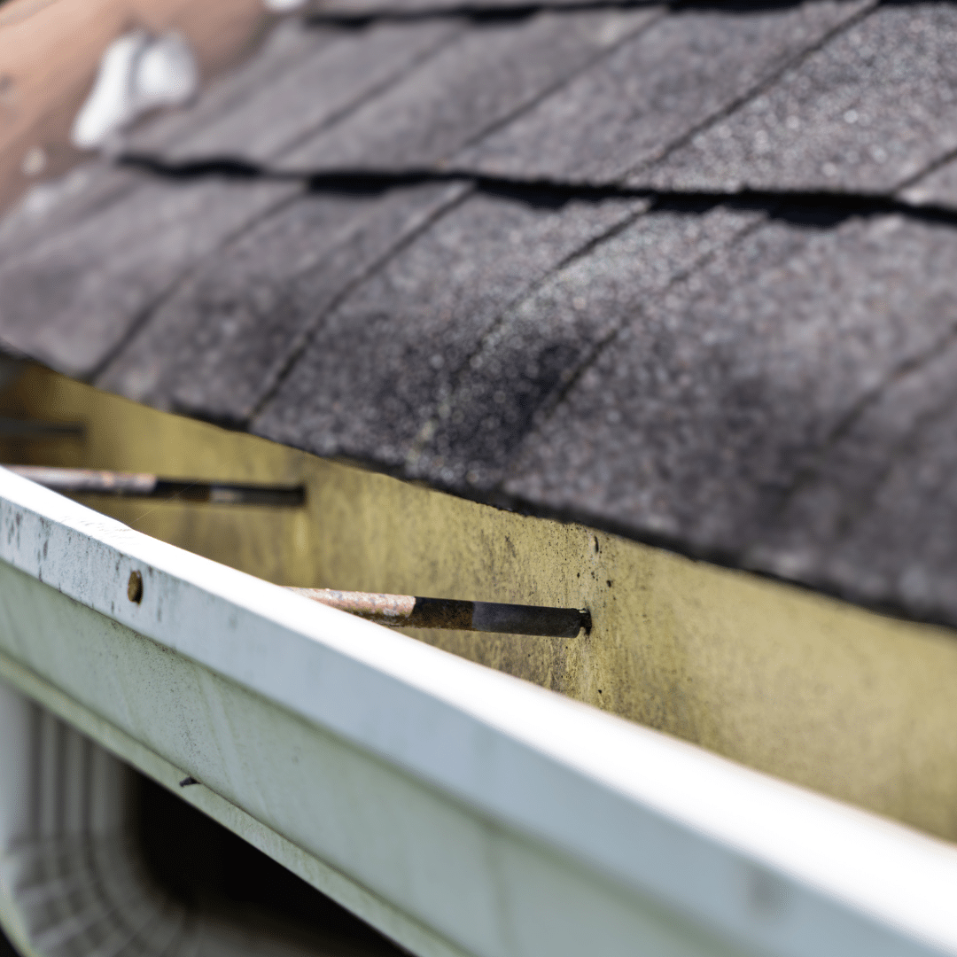 Granules in gutter
