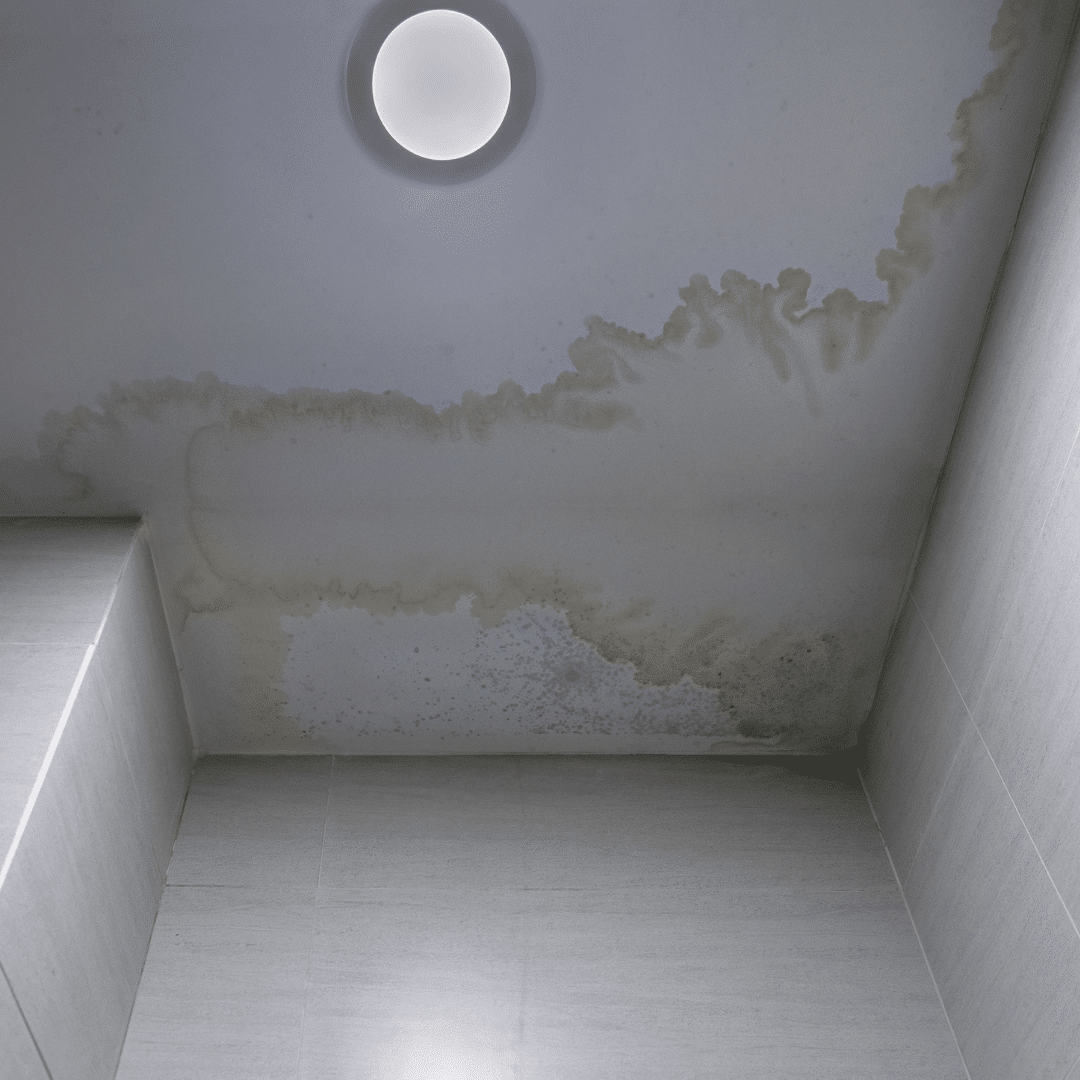 Roof Leaks