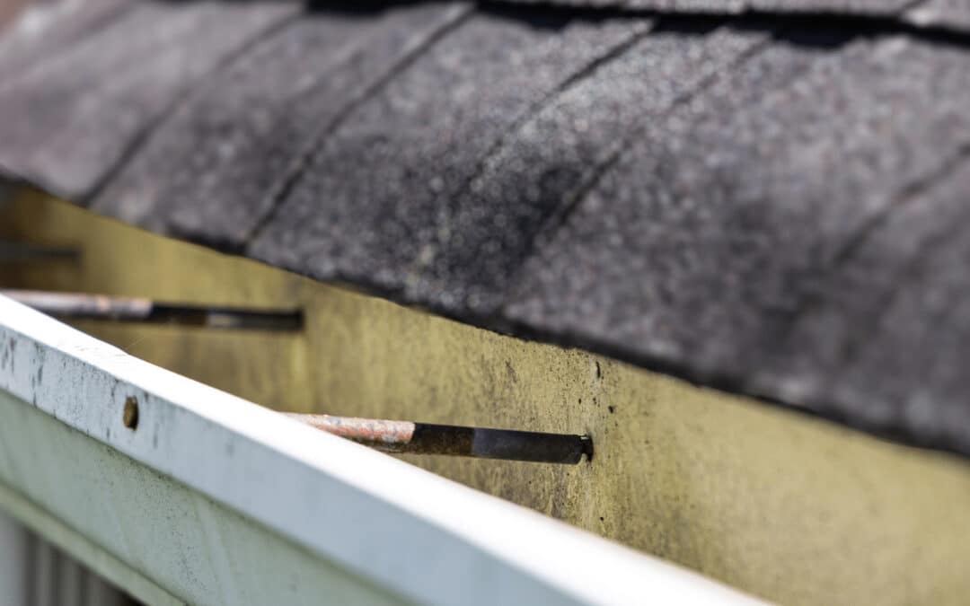 Granules in the Gutter: What Your Roof Is Trying to Tell You