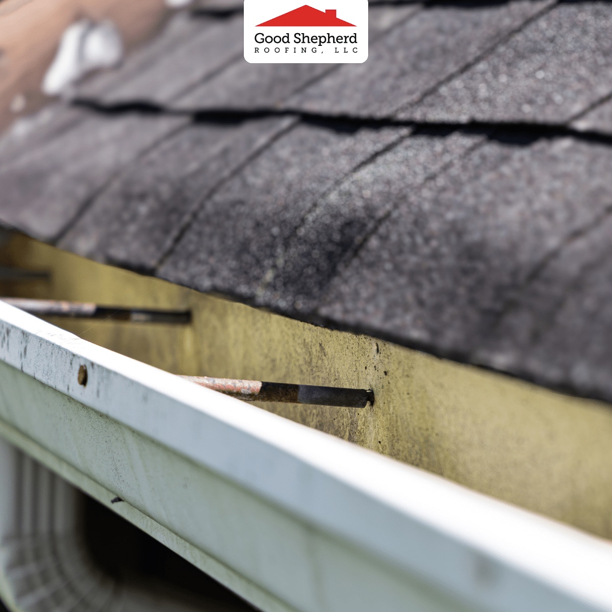 Granules in the Gutter: What Your Roof Is Trying to Tell You