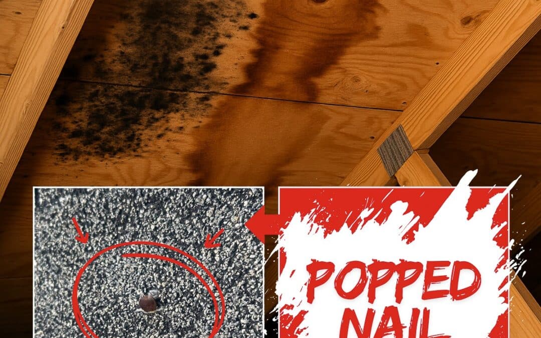 Why Are My Shingles Lifting?