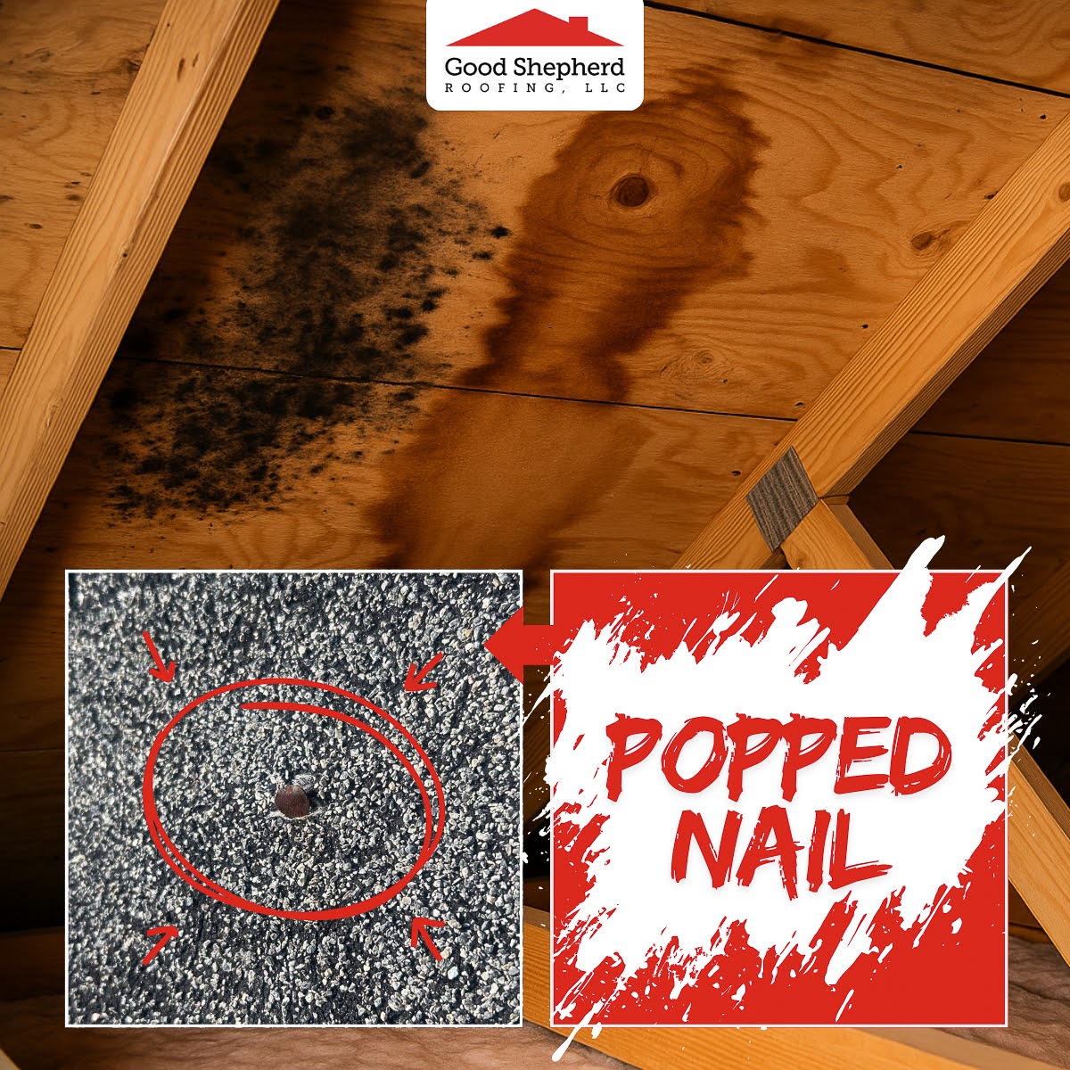 Good Shepherd Roofing in Dacula GA explains why roof shingles lift due to popped nails and how professional roof repair prevents costly damage.
