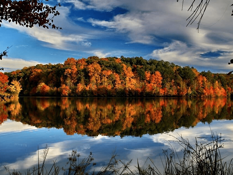 Little Mulberry Park Dacula