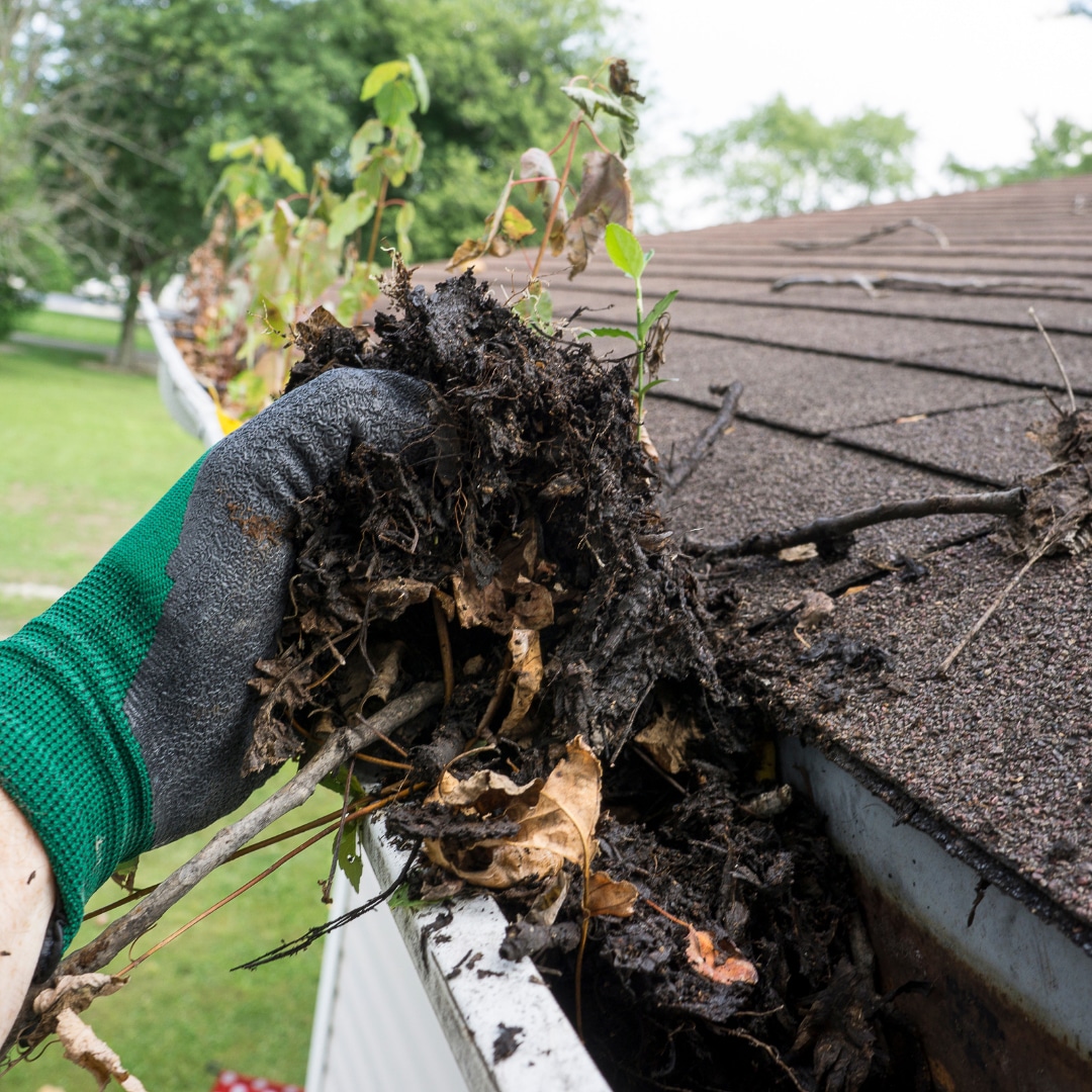 GSR Clogged Gutter Cleaning Athens GA