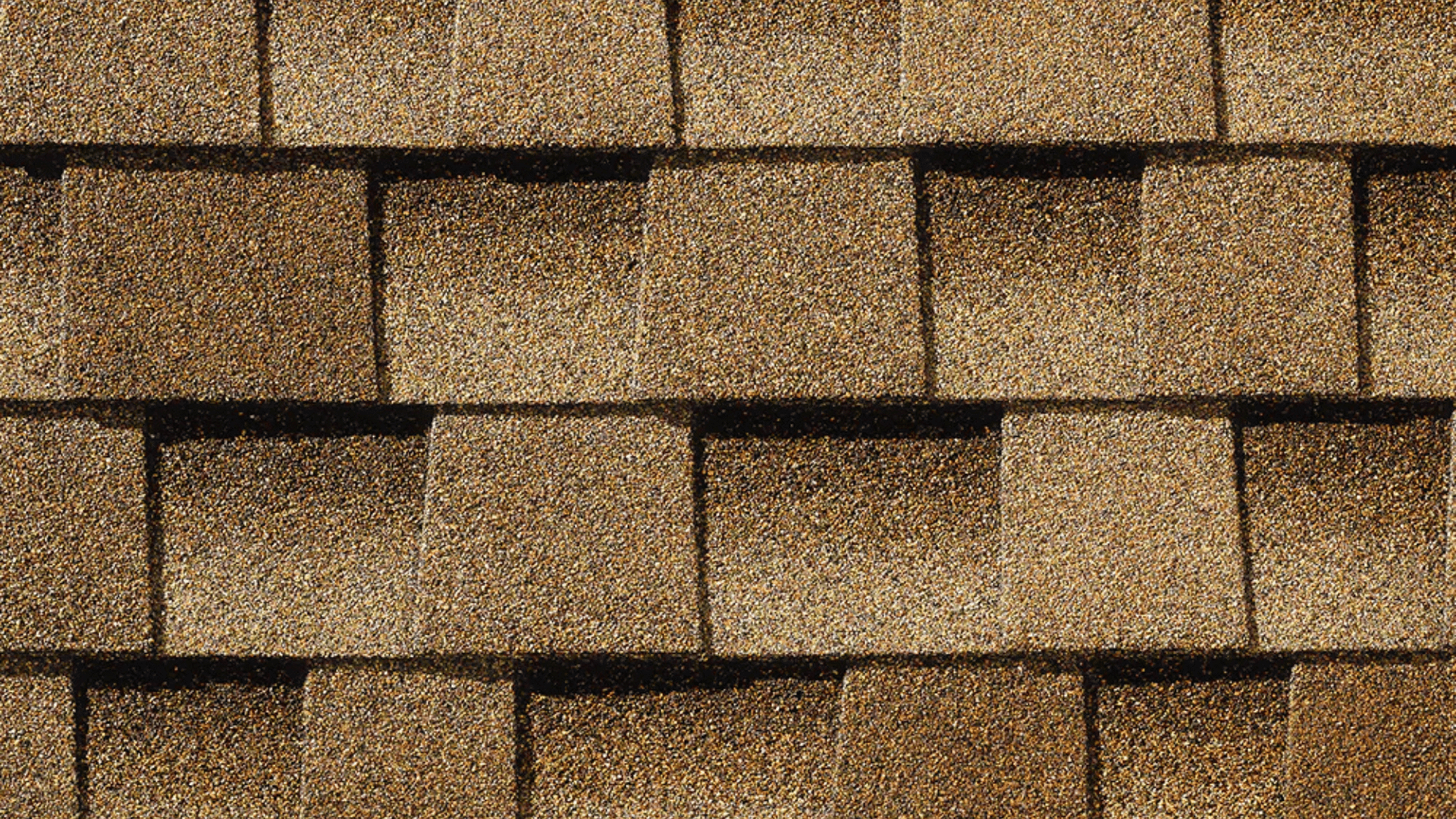 Hail-resistant shingle close-up